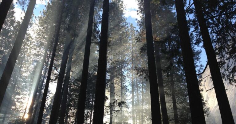 Console DMX MA Lighting grandMA3 compact XT en action sur une table de régie, écrans tactiles allumés, dans un environnement