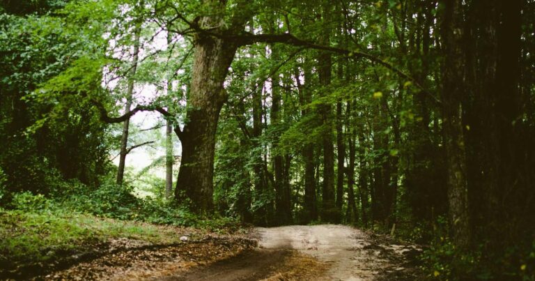 Comparatif visuel des consoles DMX Avolites Titan et ChamSys MagicQ côte à côte sur une table de régie.