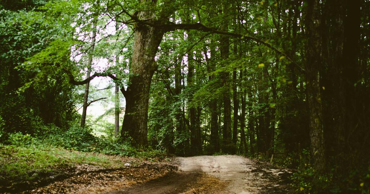 Comparatif visuel des consoles DMX Avolites Titan et ChamSys MagicQ côte à côte sur une table de régie.